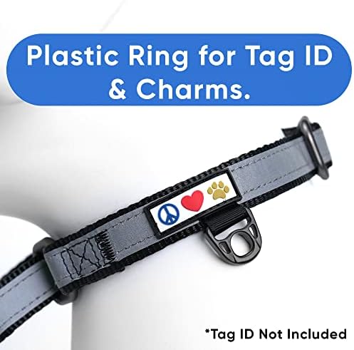 Pawtitas Personalized Dog Collar Martingale Dog Collar with Name Phone Number Reflective Martingale Dog Collar Customized Collar for Medium Dogs | Black Custom Dog Collars for Medium Dogs