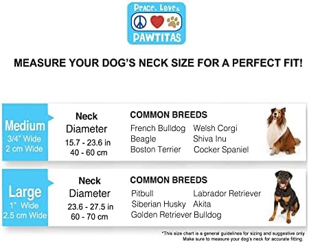 Pawtitas Blue Chain Martingale Dog Collar, Large