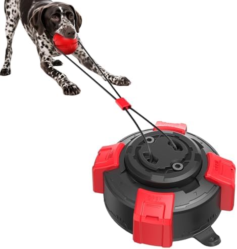 Interactive Suction Cup Dog Toy for Boredom Relief, Tug of War and Self Play with Rope and Rubber Ball, Dog Toys to Keep Them Busy Indoors Or Outdoors (BR)