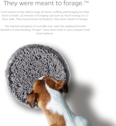 Pet Parents Forager Bowls, Slow Feeder Dog Bowls with SoftSnout & Non-Slip Backing Technology, Dog Feeder Mat & Snuffle Mat for Large Dogs and Small Dogs (Forest Modern Grey)