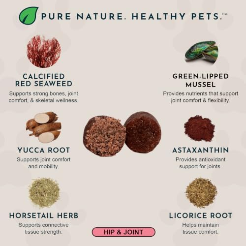 Animal Essentials Joint Supplement for Dogs & Cats, 60 Soft Chews