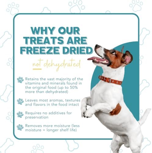 Freeze Dried Dog & Cat Treats – Beef, Single Ingredient, All-Natural, USA Sourced, Human-Grade, Grain-Free High-Protein Training Treats, 3 oz