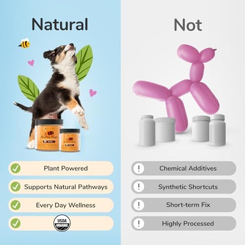 kin+kind Healthy Poops – USDA Organic Pumpkin Powder for Dogs and Cats – Prebiotic Pumpkin Powder, Supports Probiotic Activity – 4 oz