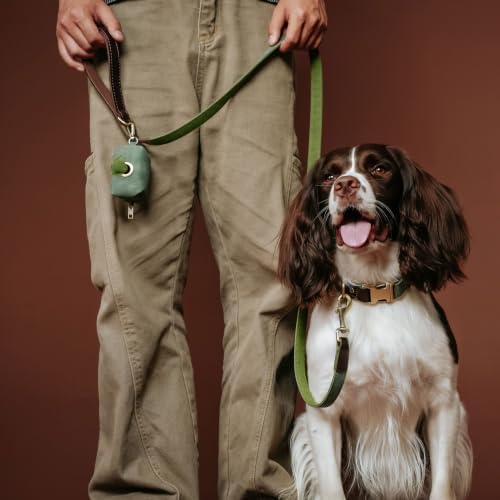 Didog PU Leather Dog Poop Bag Holder, Easy-Pull with Metal Clip, Green