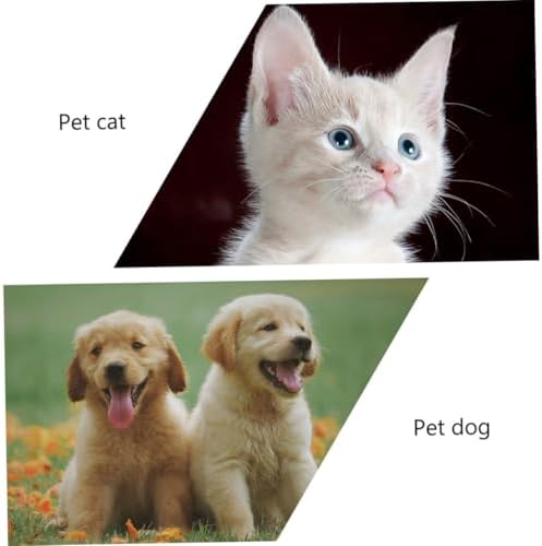 VANZACK 2pcs Pet Tear Brush Dog Eye Comb Cat Kitten Eye Brush Soft for Pet Grooming