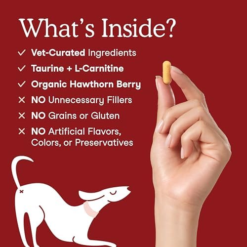 Fera Pets Heart Supplement - Taurine for Dogs & Cats, 120 Capsules