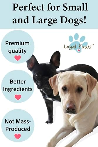 Freeze Dried Salmon Skin Dog Treats Omega3 Grain Free 4 oz