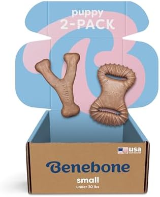 Benebone Puppy 2-Pack Dental Chew/Wishbone Dog Chew Toys, Real Bacon, Small