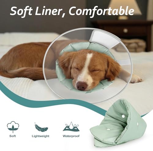 Dog Cone Collar with Snap-on Detachable Soft Liner, Lightweight Transparent Elizabethan Alternative to Stop Licking, for Spay Neuter Surgery Recovery, for Medium Large Small Dogs (Green,2XL)