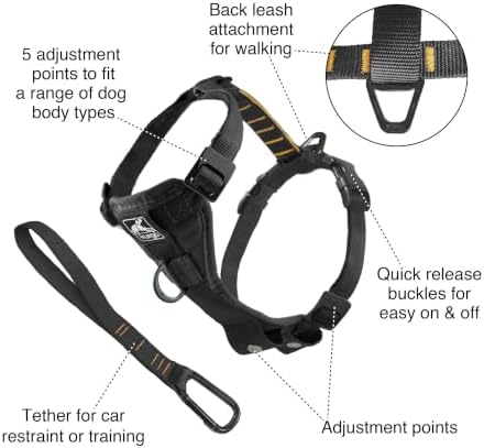 Kurgo Tru-Fit Smart Harness, Black, Medium
