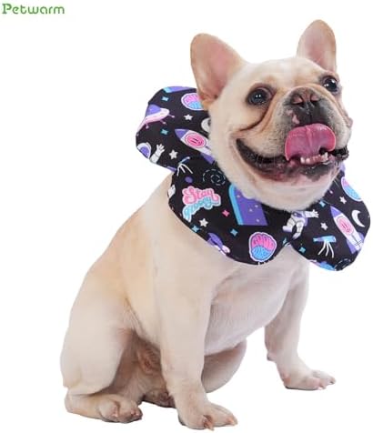 PetWarm Dog Recovery Collar, Recovery Collar, Purple Cosmic Print, L