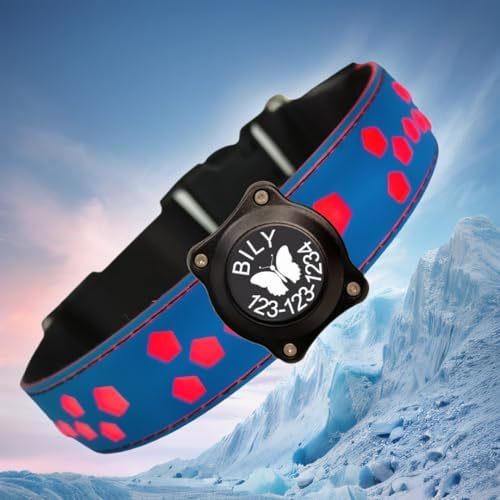 Personalized Light up Black Dog Collar with airtag Holder for Night Walk (Blue Collar 15 Modes Lighting, XL(19.7-23.6"))