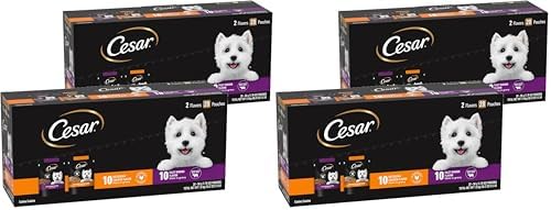 Cesar Filets in Gravy Wet Dog Food Filet Mignon Flavor and Rotisserie Chicken Flavor Variety Pack,Wet Food for Dogs,1.76 oz. Mini-Pouches,20 Count (Pack of 4)
