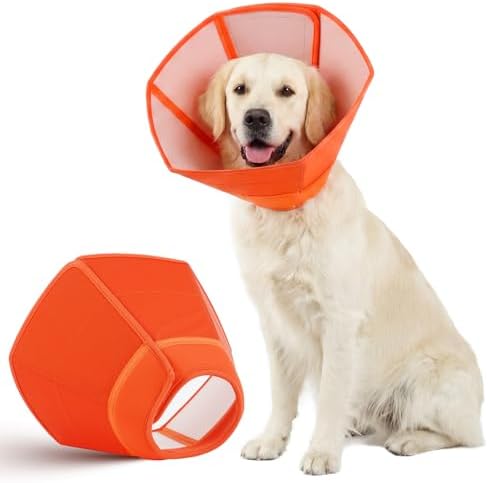 Allroaring Dog Cone Waterproof Pet Recovery Collar Anti Lick, Orange XL