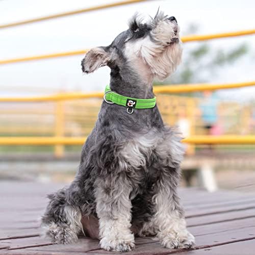 azuza Reflective Dog Collar, Neoprene Padded Small Dog Collar, Green, S