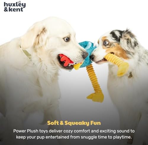 Huxley & Kent Funny Dog Toy w/Squeaker – Power Plush Squeaky Dog Toys for Small, Medium & Large Dogs – Soft Stuffed Animal for Indoor Play & Fetch - Squeak to Crunch - Lankies Red Rooster, Small