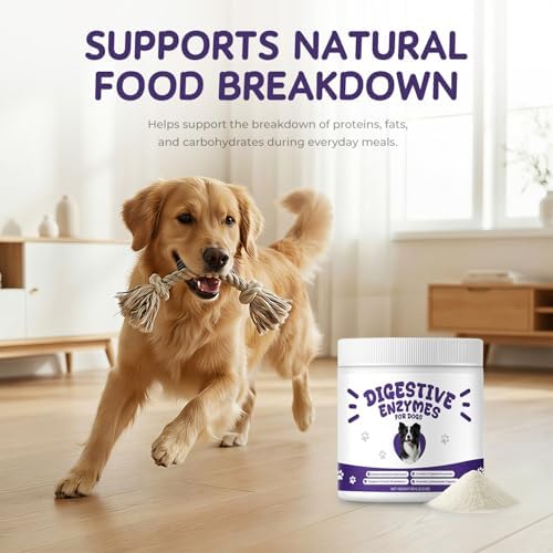 Digestive Enzymes for Dogs, Kibble Digestion & Pancreatic Enzyme Powder