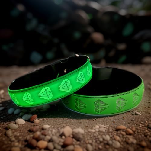 Personalized Dog Collar Waterproof airtag Dog tag Holder,USB C Light up Night Black Dog Collar (Green, XL(19.7-23.6"))