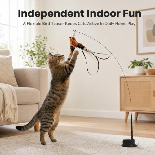 6PCS Interactive Cat Feather Toy Set, Realistic Bird Simulation Cat Toy
