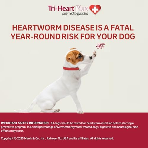 TRI-HEART PLUS Chewable Tablet for Dogs, 51-100 lbs (Brown Box), 6 Chewable Tablets, 6-Month Supply