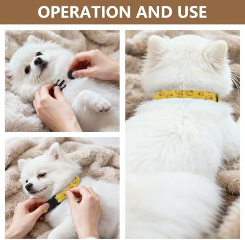 Cute Yellow Ducks Small Dog Collar 2 Pack Soft Cat Collar Adjustable Length 10.6" to 17.1"