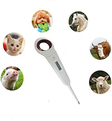 Aurrynns Pet Digital Anus Thermometer for Dogs, Cats, Pigs, Sheep ()