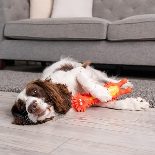 Outward Hound Latex-Free Big Squeak Hedgehog Dog Toy