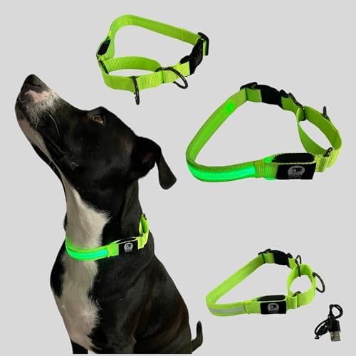 Light-Up Martingale Training Adjustable Dog Puppy Collar - REMIPET - Waterproof, LED Illuminated, USB Rechargeable, Reflective Safety, Durable, Nylon, Gift (Green, Large)