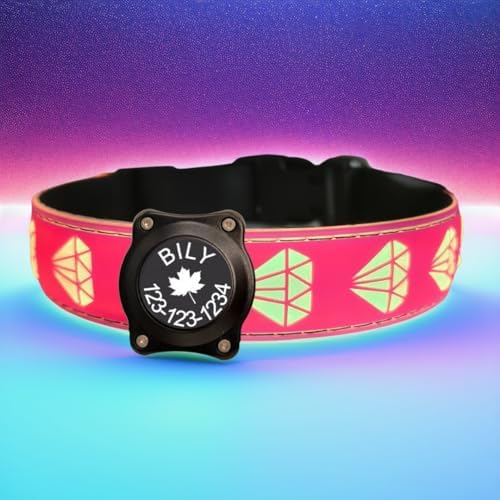 Personalized Dog Collar Waterproof airtag Dog tag Holder,USB C Light up Night Black Dog Collar (Pink, S(7.87-11.8"))