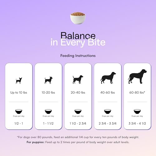 PawCo Fresh Dog Food – Supports Energy, Digestion & Overall Health – Peanut Butter & Apple Recipe with Sweet Potato, Flaxseed, Omega-3 & Probiotics – GreenBites – Pack of 10 x 17oz