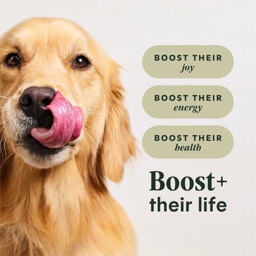 Instinct Raw Boost, Natural Dry Dog Food with Freeze Dried Pieces, High Protein, Grain Free Recipe - Real Salmon, 19 lb. Bag