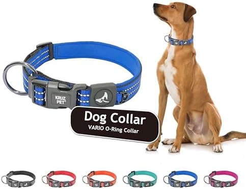 Dog Collar Bundle for Medium Dogs (Width- 3/4", Length - 17"-21.5") | Adjustable Padded Raspberry Turquoise & Blue Dog Collars with Heavy Duty O-Ring | Soft & Comfortable Fit for Medium Dogs