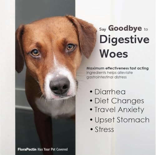 Oral Paste for Dogs & Cats (2 Pack, 15 CC - Tasty Chicken)