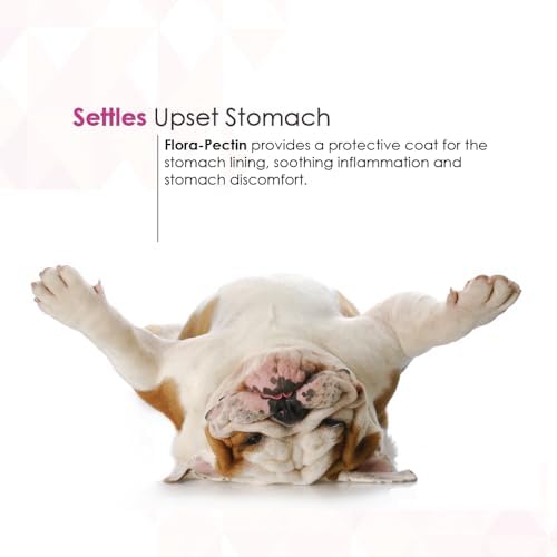 Oral Paste for Dogs & Cats – Fast Diarrhea Relief & Firm Stool Support, Helps Upset Stomach, Reduces Occasional Loose Stool, Balances Gut pH & Supports Normal Digestion (30 CC, Tasty Chicken Flavor)