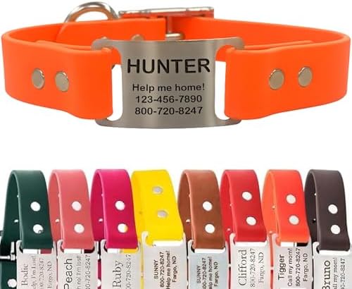 dogIDs Personalized Dog Collar – ScruffTag Custom Waterproof Biothane Dog Collar with Laser-Engraved Name, Durable & Odor-Resistant – USA Made | Blaze Orange, 1 in x 18 in (Fits Neck Sizes 16-20 in)