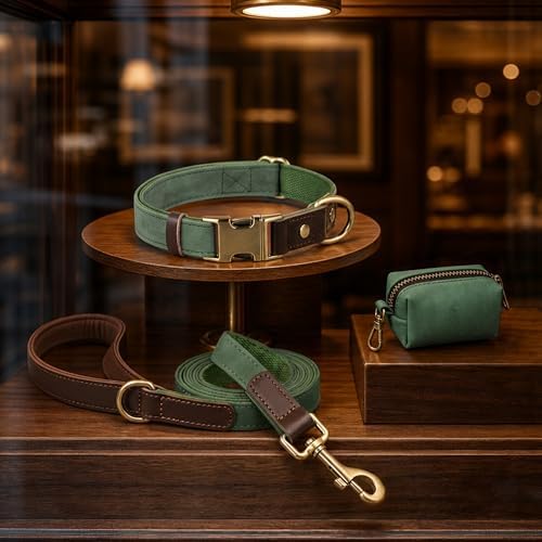 Didog PU Leather Dog Poop Bag Holder, Easy-Pull with Metal Clip, Green
