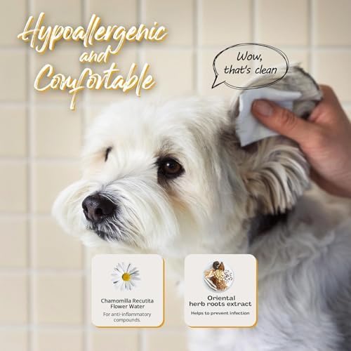 Korean Plant Based Vegan Dog Ear Cleaner 100 ml – Naturally Derived Ear Cleanser Dogs – Advanced Solution for Ear Cleaning, Odors, Debris, Itchy, Ear Wax, Moisturizing – Made in Korea
