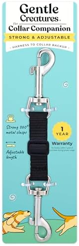 Gentle Creatures Collar Companion Adjustable Dog Safety Backup Clip