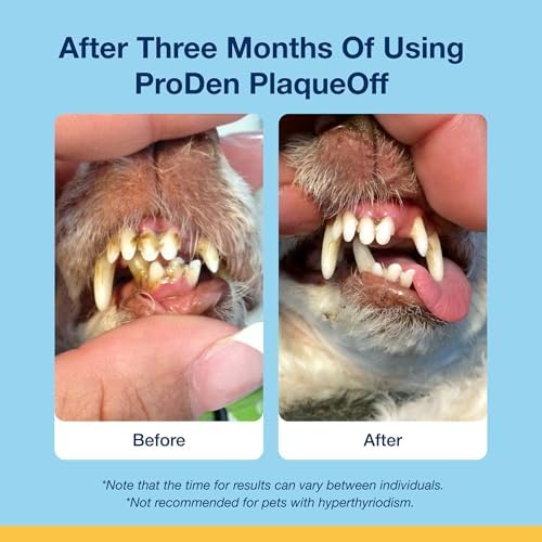 ProDen PlaqueOff Dental Scoopables Hickory Smoked Bacon Flavor - 45 Scoops
