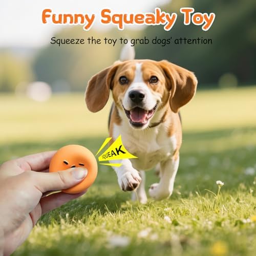 Squeaky Dog Toys for Puppies Small Dogs, [6 Pack] Latex Rubber Interactive Fetch Balls with Squeaker, Funny Puppy Play Ball Toy