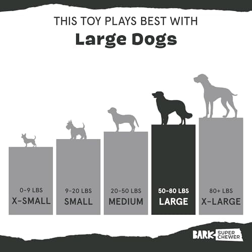 BarkBox Tug Tied Toad Dog Toy - for Large Dogs