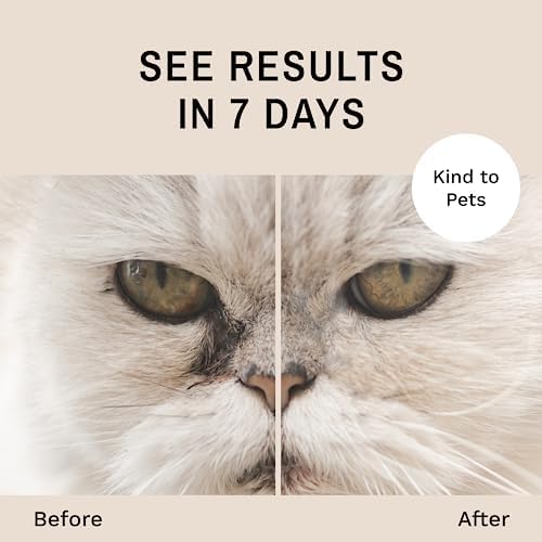 Eye Envy Cat Tear Stain Remover Starter Kit with ProPowder Brush. Stain Solution, Applicator Pads, Stain Powder, and Small Applicator Brush. Tear Stain Cleaning Kit. Lasts 30-45 Days. Made in USA.