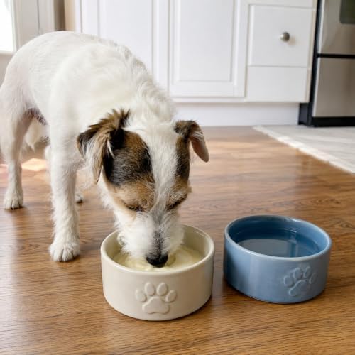 YowUp Dog Yogurt Treat, Skin and Coat Support with Salmon, 4 Pouches