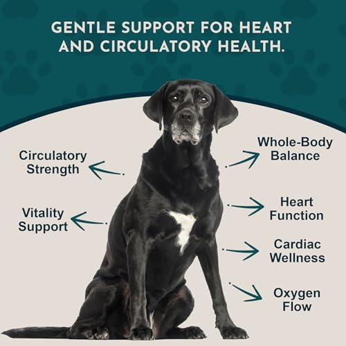 Animal Essentials Hawthorn Berry Supplement for Dogs & Cats - 1 fl Oz