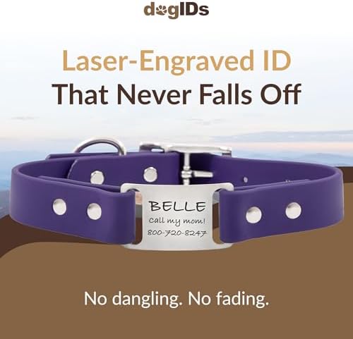 dogIDs Personalized Dog Collar – ScruffTag Custom Waterproof Biothane Dog Collar with Laser-Engraved Name, Durable & Odor-Resistant – USA Made | Purple, 3/4 in x 14 in (Fits Neck Sizes 12-16 in)