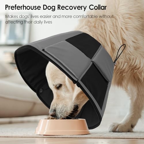 Dog Recovery Collar Cone for Medium Dogs, Adjustable Dog Cone Alternative