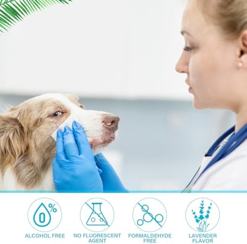 Treela 10 Pack Dog Pet Wipes, 80 Count Paws Body, Coconut