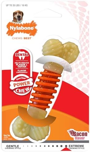 Nylabone Power Chew Dental Groove Bone Dog Chew Toy, Bacon Flavor, Medium