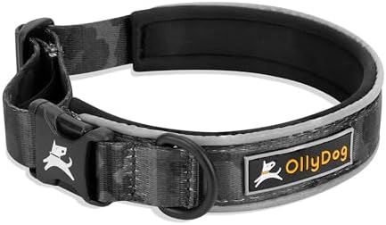 OllyDog Flagstaff Reflective Comfort Collar, Neoprene Padded Dog Collar, Reflective Trims for Night Runs, Extra Comfort for Active Dogs (Small, Dream Camo)