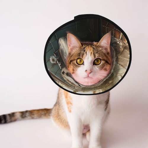 Custom Pet Cones - Unique Design Cat & Dog Cone, Collar for Post-Surgery Recovery, Adjustable Neck Smart Hedgehog Large